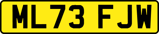 ML73FJW