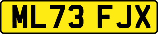 ML73FJX