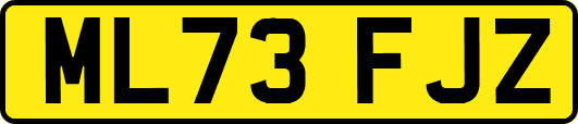 ML73FJZ
