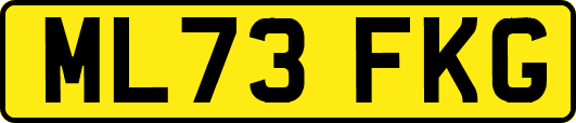 ML73FKG