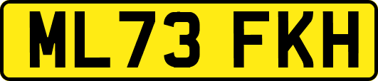 ML73FKH
