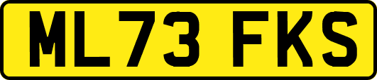 ML73FKS