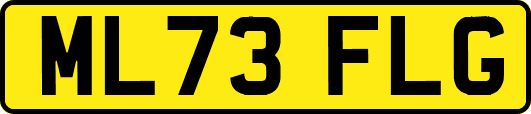 ML73FLG