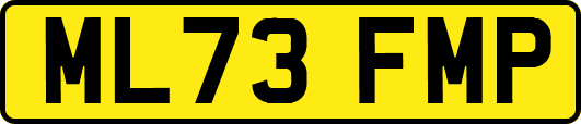 ML73FMP