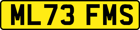ML73FMS