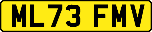 ML73FMV