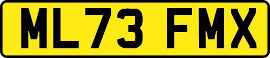 ML73FMX