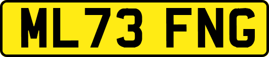 ML73FNG