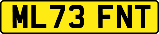 ML73FNT