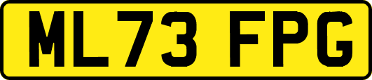 ML73FPG