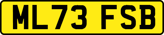 ML73FSB