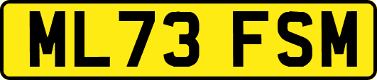 ML73FSM