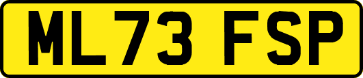 ML73FSP