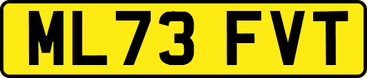 ML73FVT