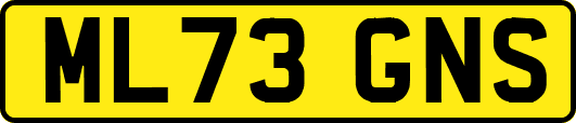 ML73GNS