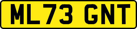 ML73GNT