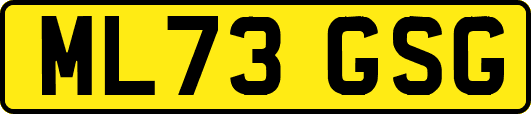ML73GSG