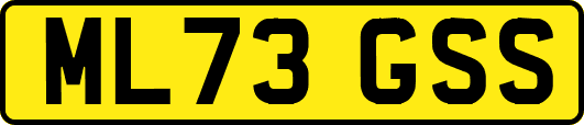 ML73GSS