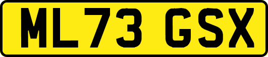 ML73GSX