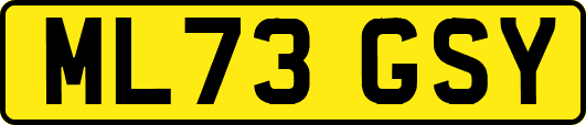 ML73GSY