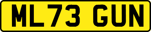 ML73GUN