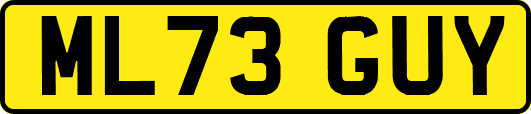 ML73GUY