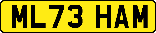 ML73HAM
