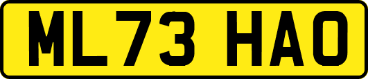 ML73HAO