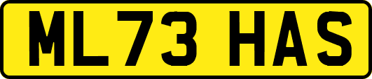 ML73HAS