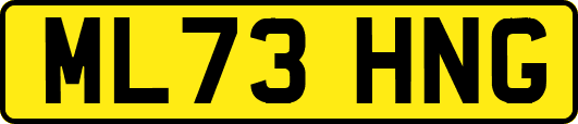 ML73HNG