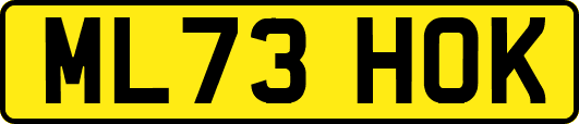 ML73HOK