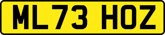 ML73HOZ