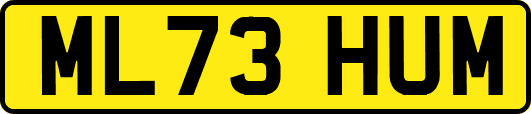 ML73HUM