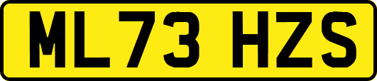 ML73HZS