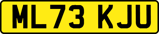 ML73KJU