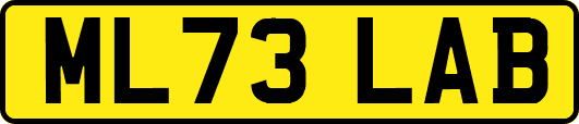 ML73LAB