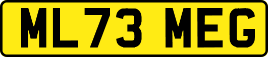ML73MEG