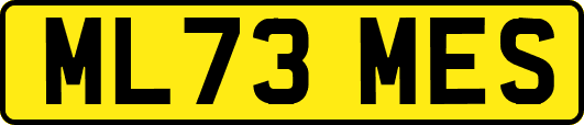 ML73MES