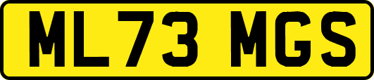 ML73MGS
