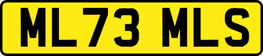 ML73MLS