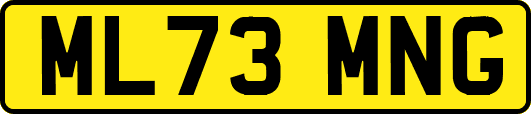 ML73MNG