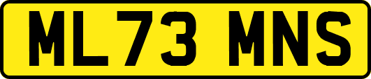 ML73MNS