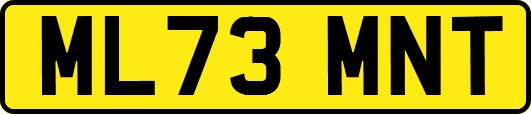 ML73MNT