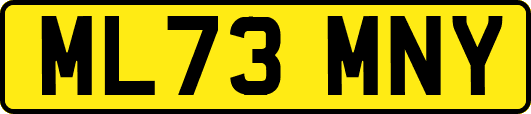 ML73MNY