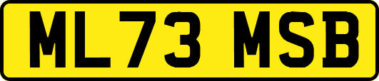 ML73MSB