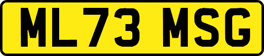 ML73MSG
