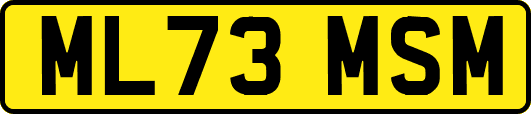 ML73MSM