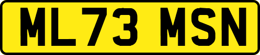 ML73MSN