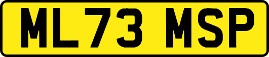 ML73MSP