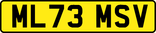 ML73MSV